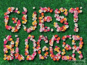 guest-blogger-sign